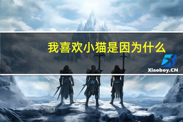 我喜欢小猫是因为什么