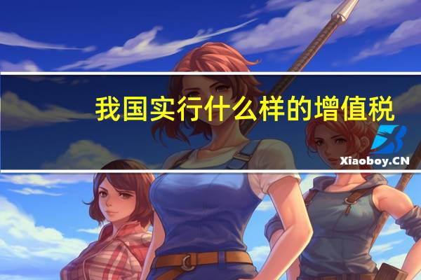 我国实行什么样的增值税
