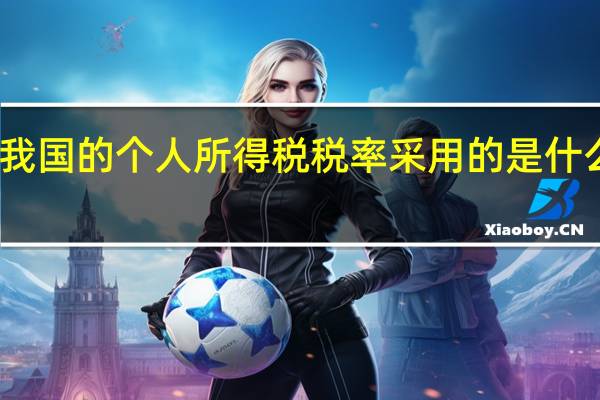 我国的个人所得税税率采用的是什么税率