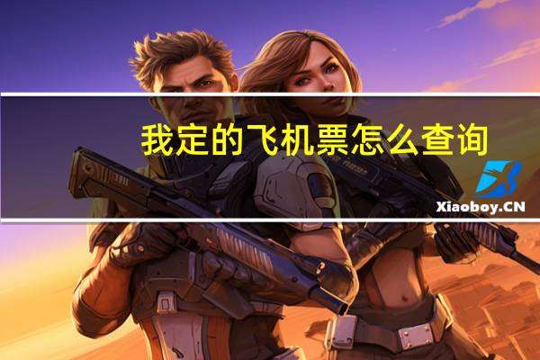 我定的飞机票怎么查询
