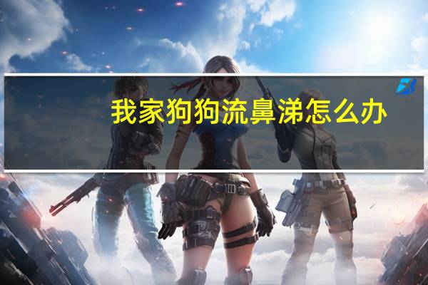 我家狗狗流鼻涕怎么办