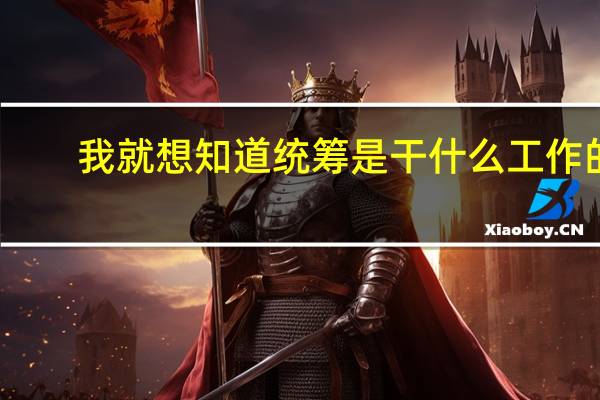 我就想知道统筹是干什么工作的