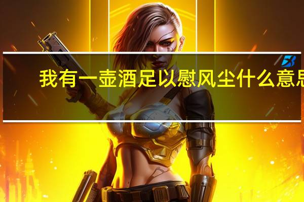 我有一壶酒足以慰风尘什么意思