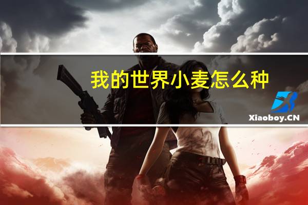 我的世界小麦怎么种