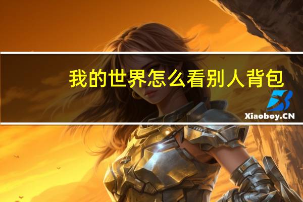 我的世界怎么看别人背包