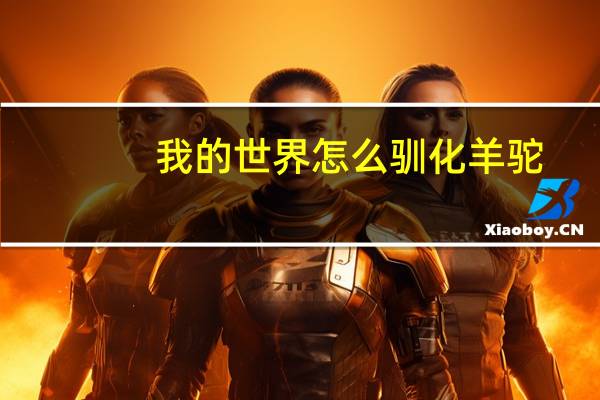 我的世界怎么驯化羊驼