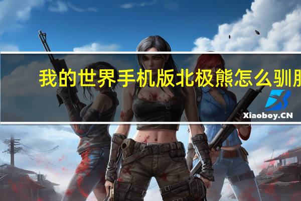 我的世界手机版北极熊怎么驯服