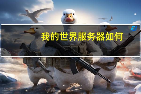 我的世界服务器如何