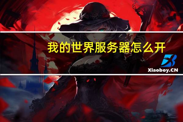 我的世界服务器怎么开