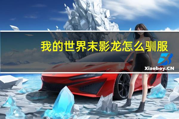我的世界末影龙怎么驯服