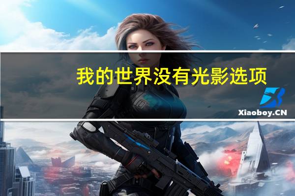 我的世界没有光影选项