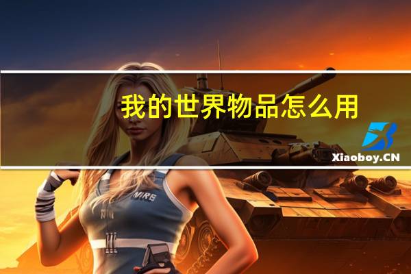 我的世界物品怎么用