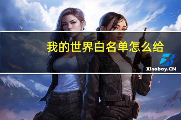 我的世界白名单怎么给
