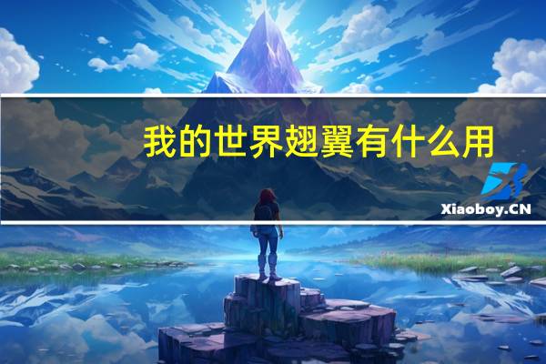 我的世界翅翼有什么用