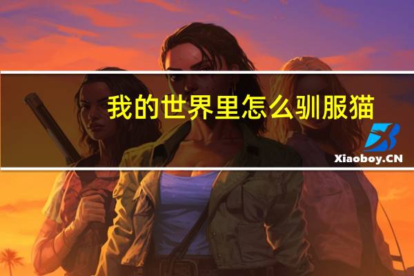 我的世界里怎么驯服猫