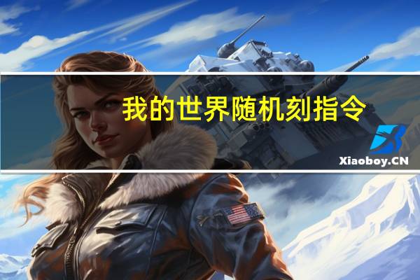 我的世界随机刻指令