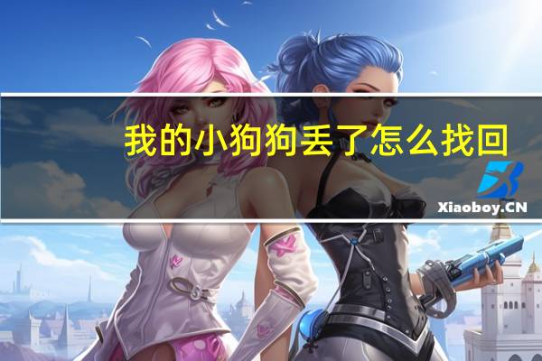 我的小狗狗丢了怎么找回