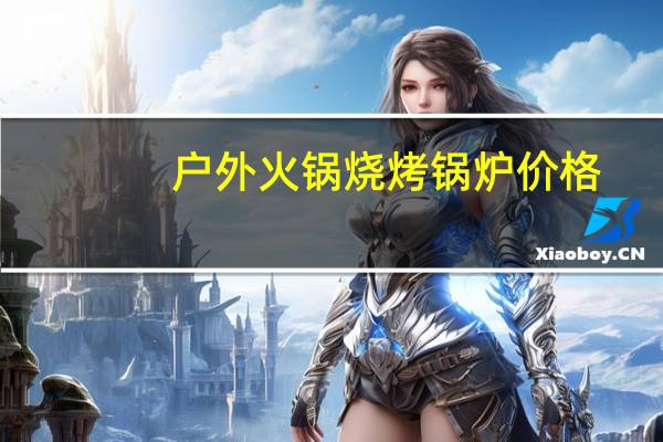 户外火锅烧烤锅炉价格