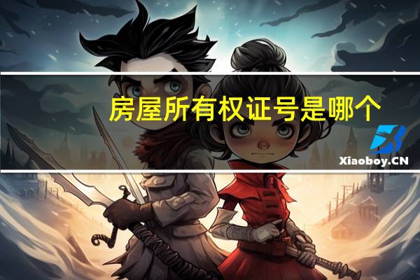 房屋所有权证号是哪个