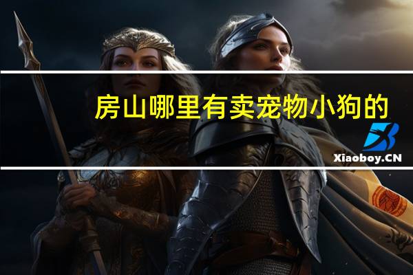 房山哪里有卖宠物小狗的