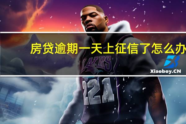 房贷逾期一天上征信了怎么办