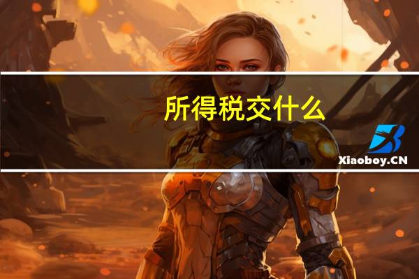 所得税交什么