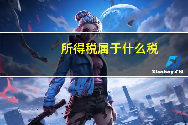 所得税属于什么税