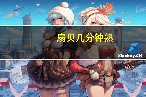 扇贝几分钟熟