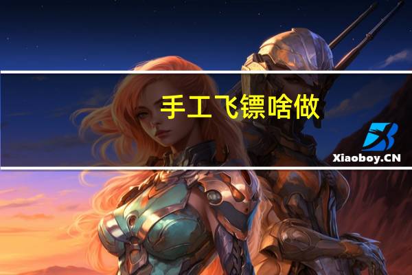 手工飞镖啥做