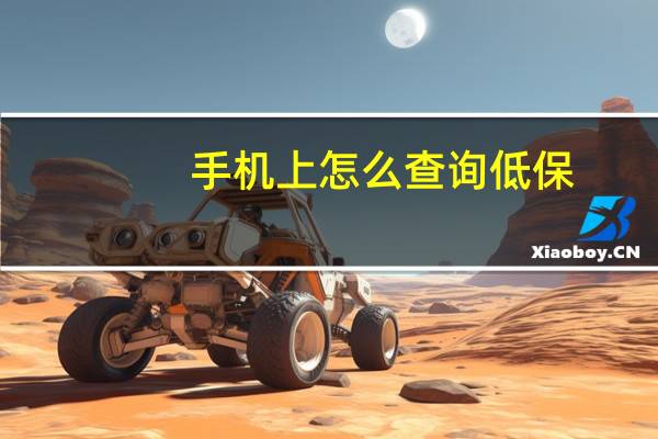 手机上怎么查询低保