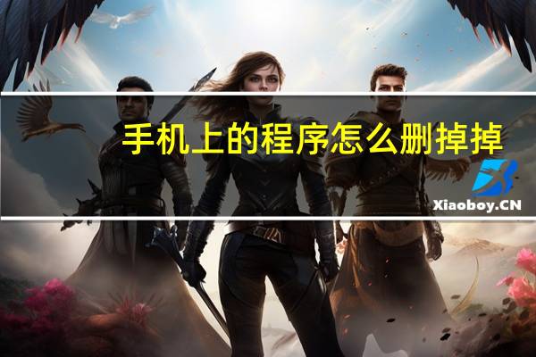 手机上的程序怎么删掉掉
