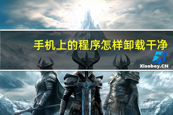 手机上的程序怎样卸载干净