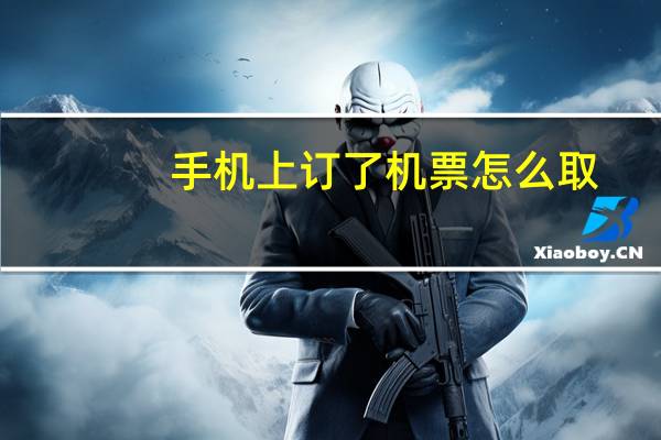 手机上订了机票怎么取