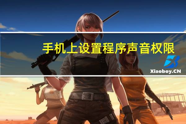 手机上设置程序声音权限