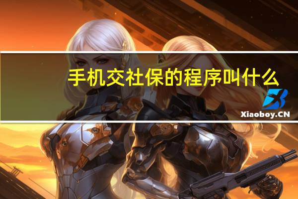 手机交社保的程序叫什么