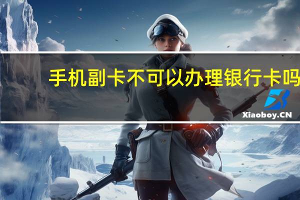 手机副卡不可以办理银行卡吗
