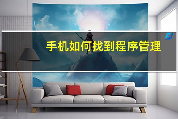手机如何找到程序管理