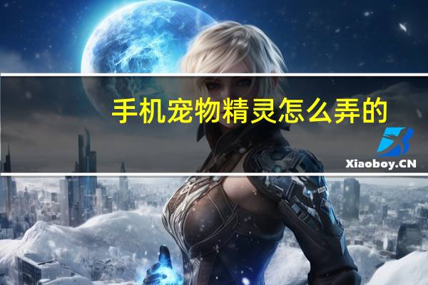 手机宠物精灵怎么弄的
