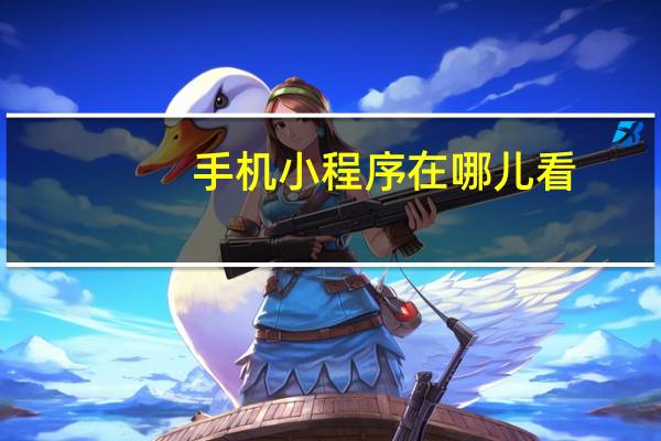手机小程序在哪儿看