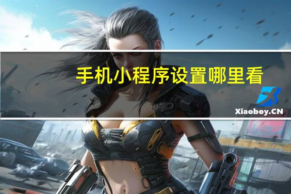 手机小程序设置哪里看