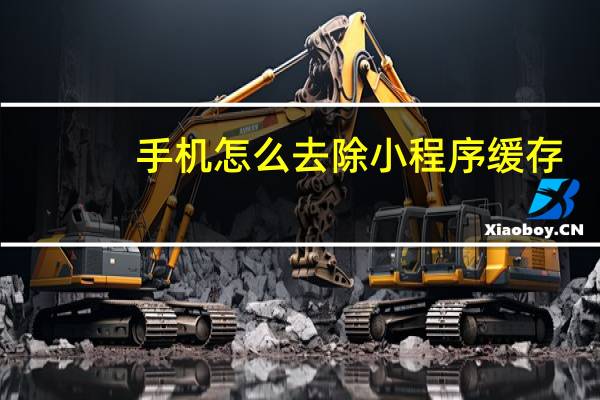 手机怎么去除小程序缓存
