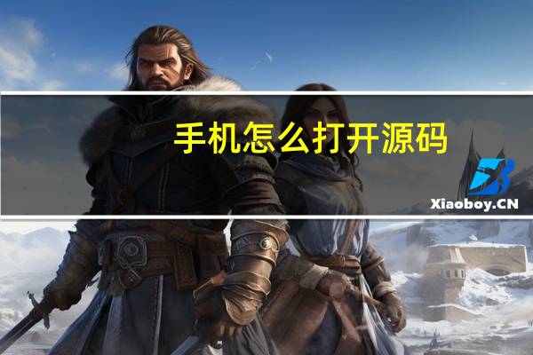 手机怎么打开源码