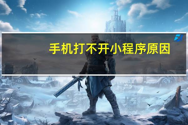 手机打不开小程序原因