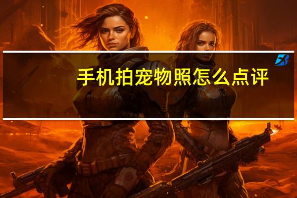 手机拍宠物照怎么点评