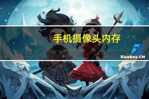 手机摄像头内存