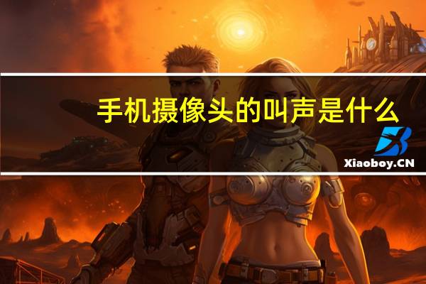 手机摄像头的叫声是什么