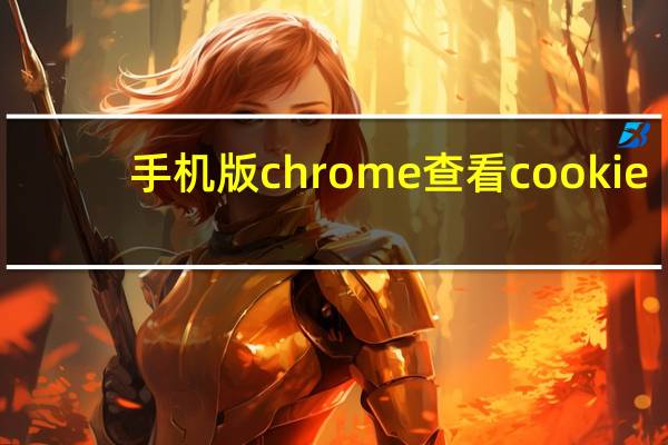 手机版chrome查看cookie