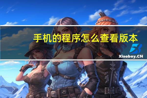 手机的程序怎么查看版本