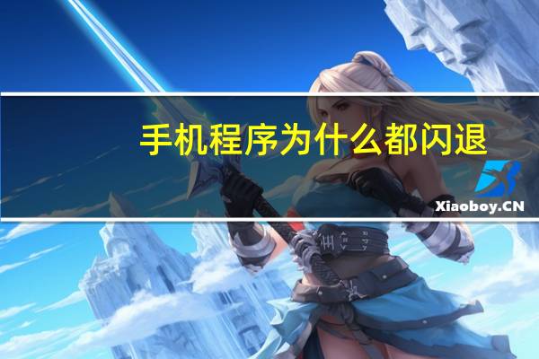 手机程序为什么都闪退