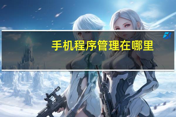 手机程序管理在哪里